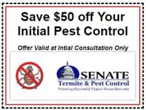 An employee at Senate Termite & Pest Control
